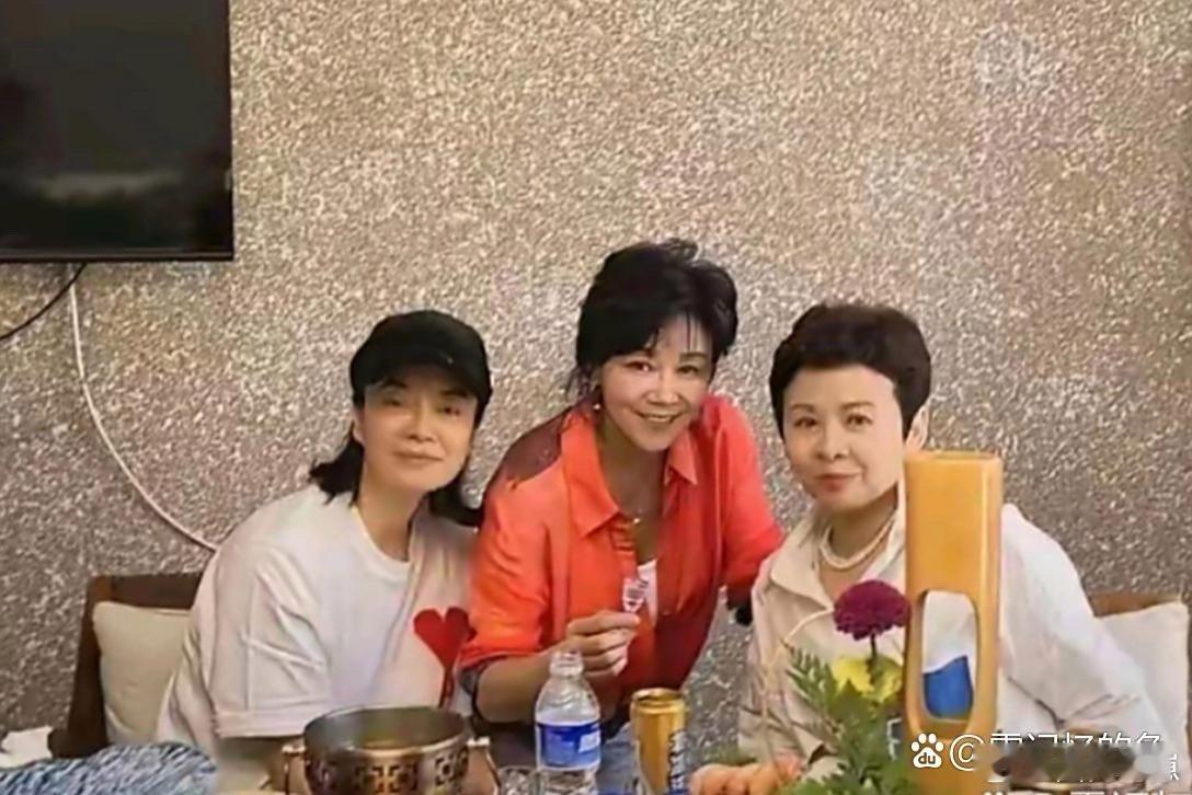 62岁的毛阿敏与63岁的董文华一同聚餐,两位前辈同框画面格外亲切,岁月似乎格外优