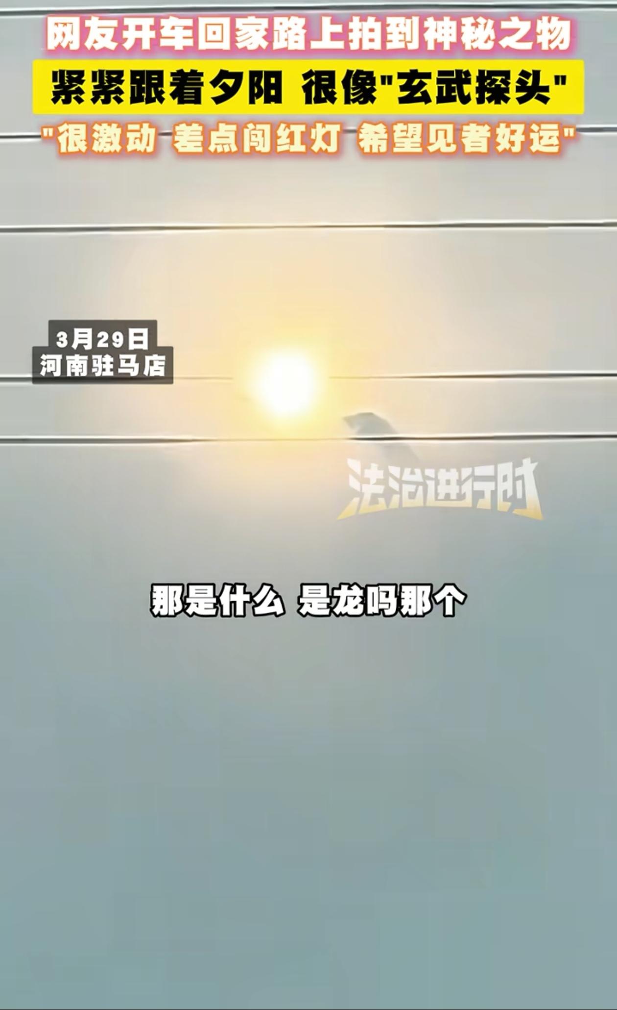 这是龙吗？河南驻马店，男子开车回家时抬头看了一眼天，发现在太阳旁边有一个巨大黑影