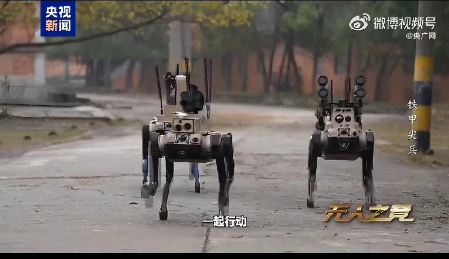 央视公布最新机器狼巷战画面了，最吸引我的不是这些“狼”的灵活，也不是它们的三