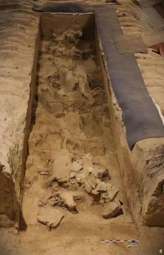 考古新发现秦兵马俑考古工作者在兵马俑二号坑的发掘又有新进展。此次在第9过洞清理