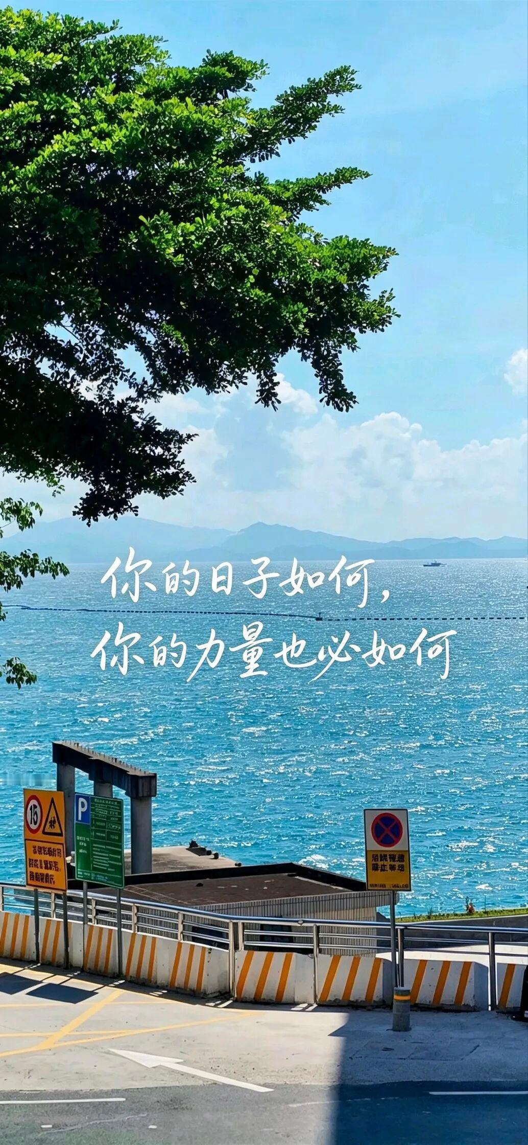做了11年空姐的台湾女孩卡卡(Karina)，花2.7万人民币在黑龙江鹤岗全款买下一套64平两居室，
