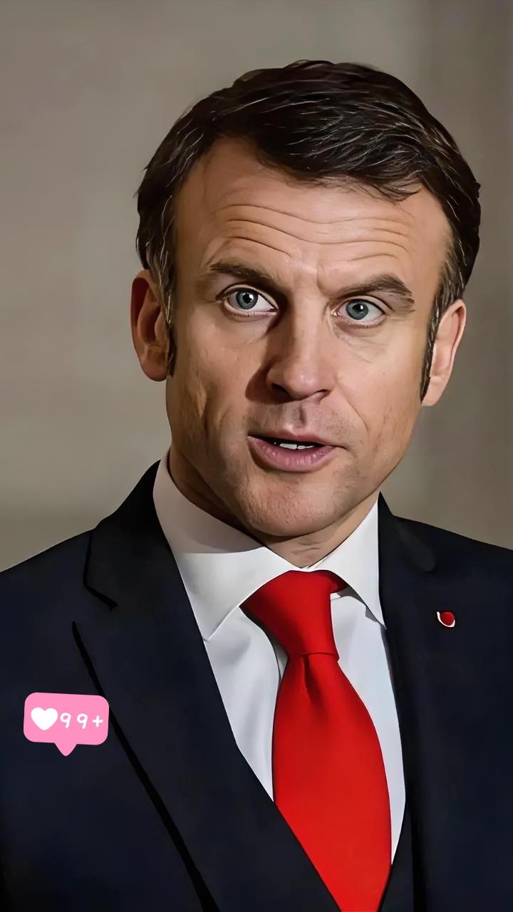 消息来了！法国总统马克龙刚刚宣布，首批法国士兵已经踏上格陵兰岛的土地，后续部