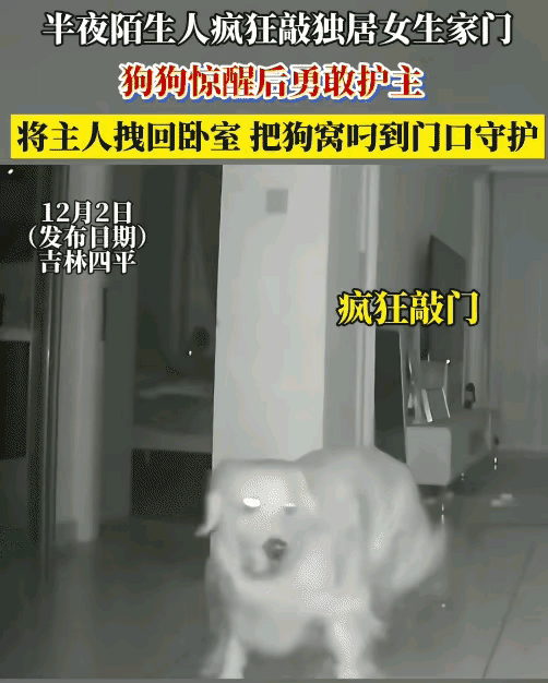 这是来报恩的！吉林一独居女生睡觉，半夜突然听到有人敲门。她走到客厅询问，是谁？可