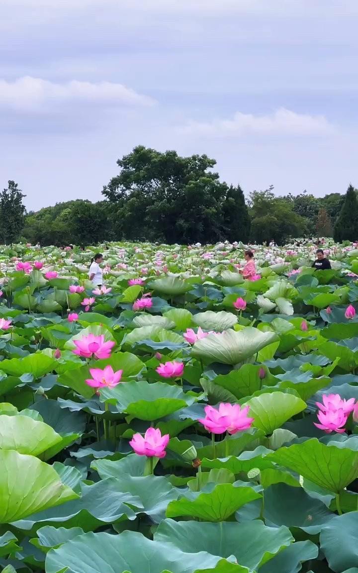 像我这么大年纪的老人，最怕的就是孩子们放暑假了，家里又有儿子又有女儿，既有孙子孙