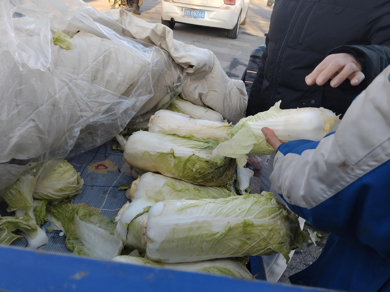 看看东北纯正农家大白菜，一块八一斤！今天我路过附近的一个农贸市场，挨着马
