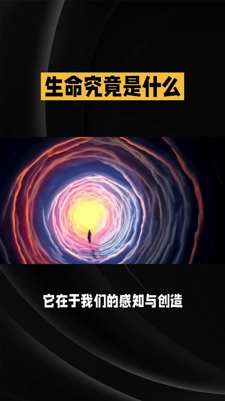 生命究竟是什么？生命的本质？生命究竟是什么？是简单的物质存续，还是蕴含着更深层