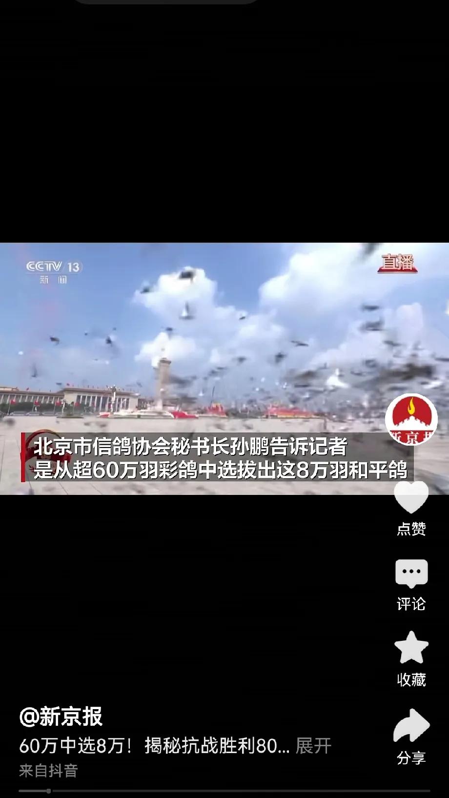 今天阅兵的时候，有个仪式，是放飞8万羽和平鸽，表达礼赞和平的寓意。挺好奇哪个