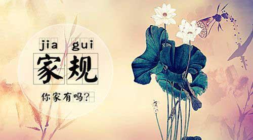 制定家规, 约束孩子的不良行为, 各位父母你们家有家规吗?