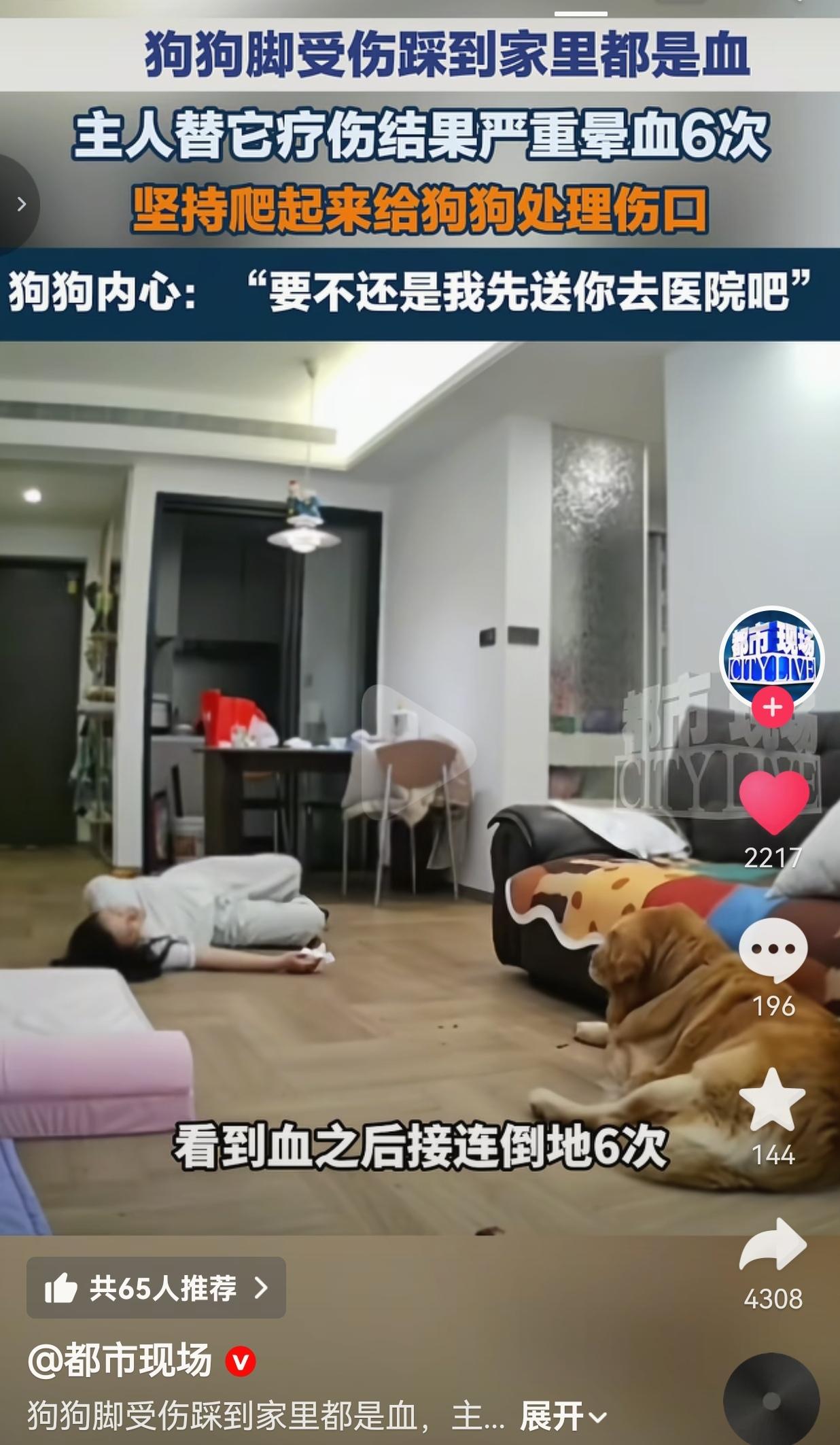 护士主人晕血6次，硬撑着给受伤狗狗包扎，又好笑又心疼！ 事情是这样的：