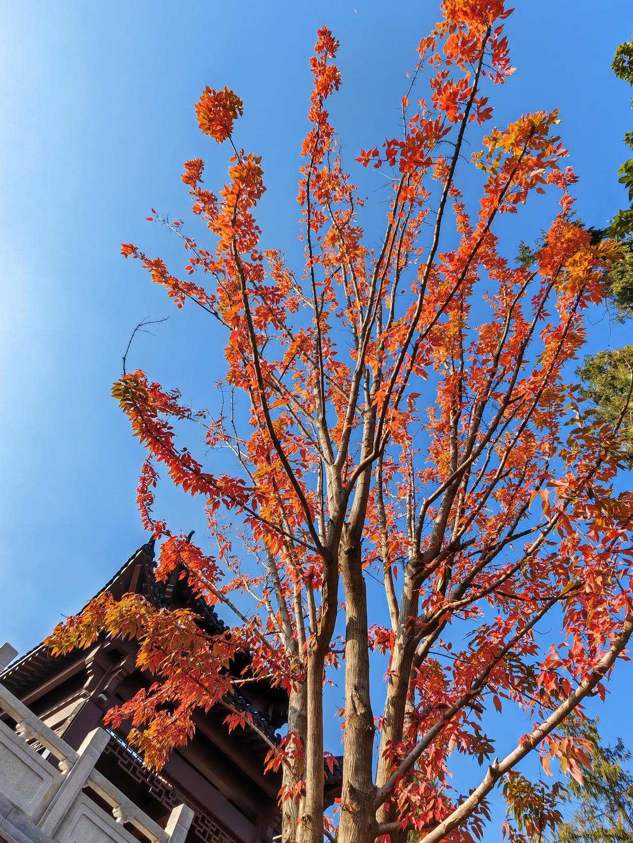 1、吃饭喜欢翻菜的人，一般都很自私。2、丑话说到前面的人，大多比较靠谱。3、