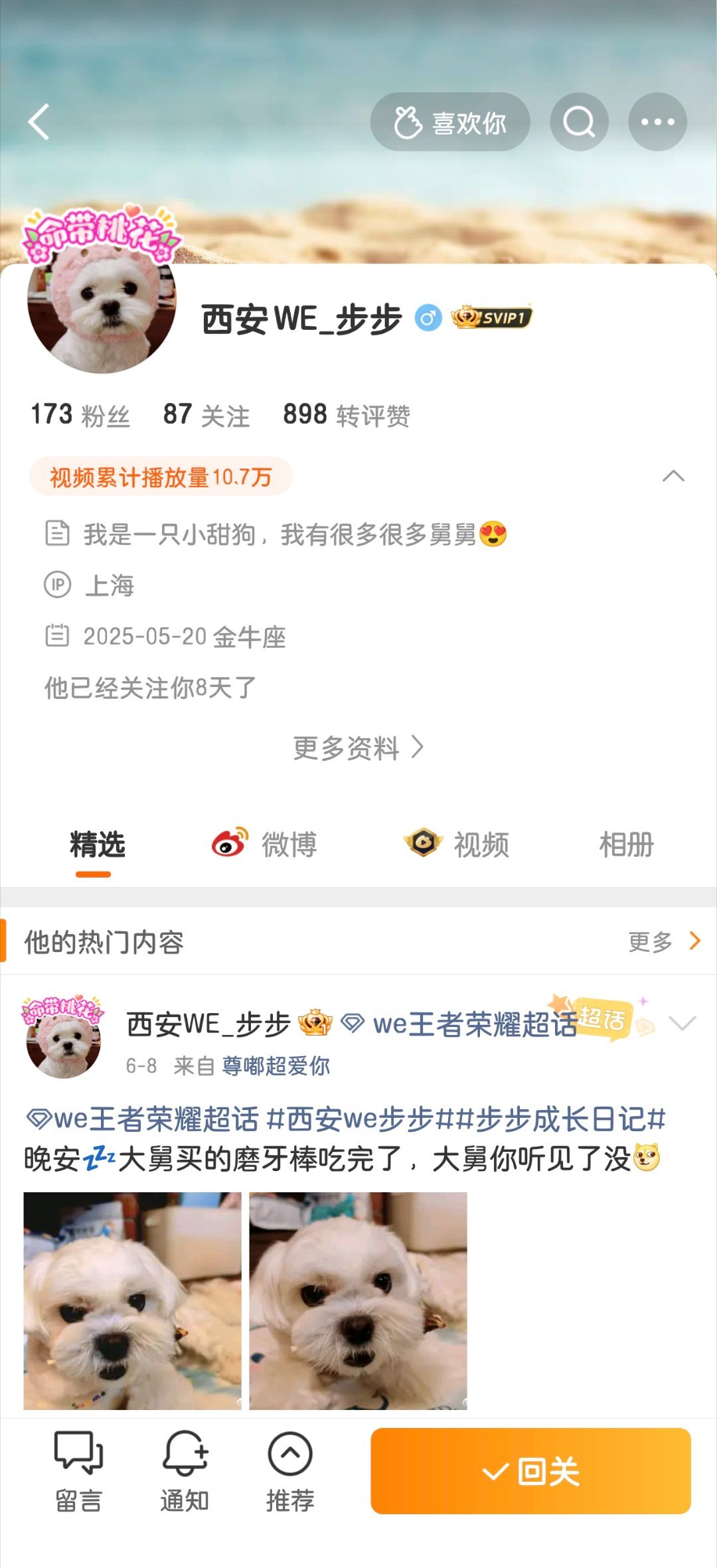 瓜友速报还有宠物赛道的