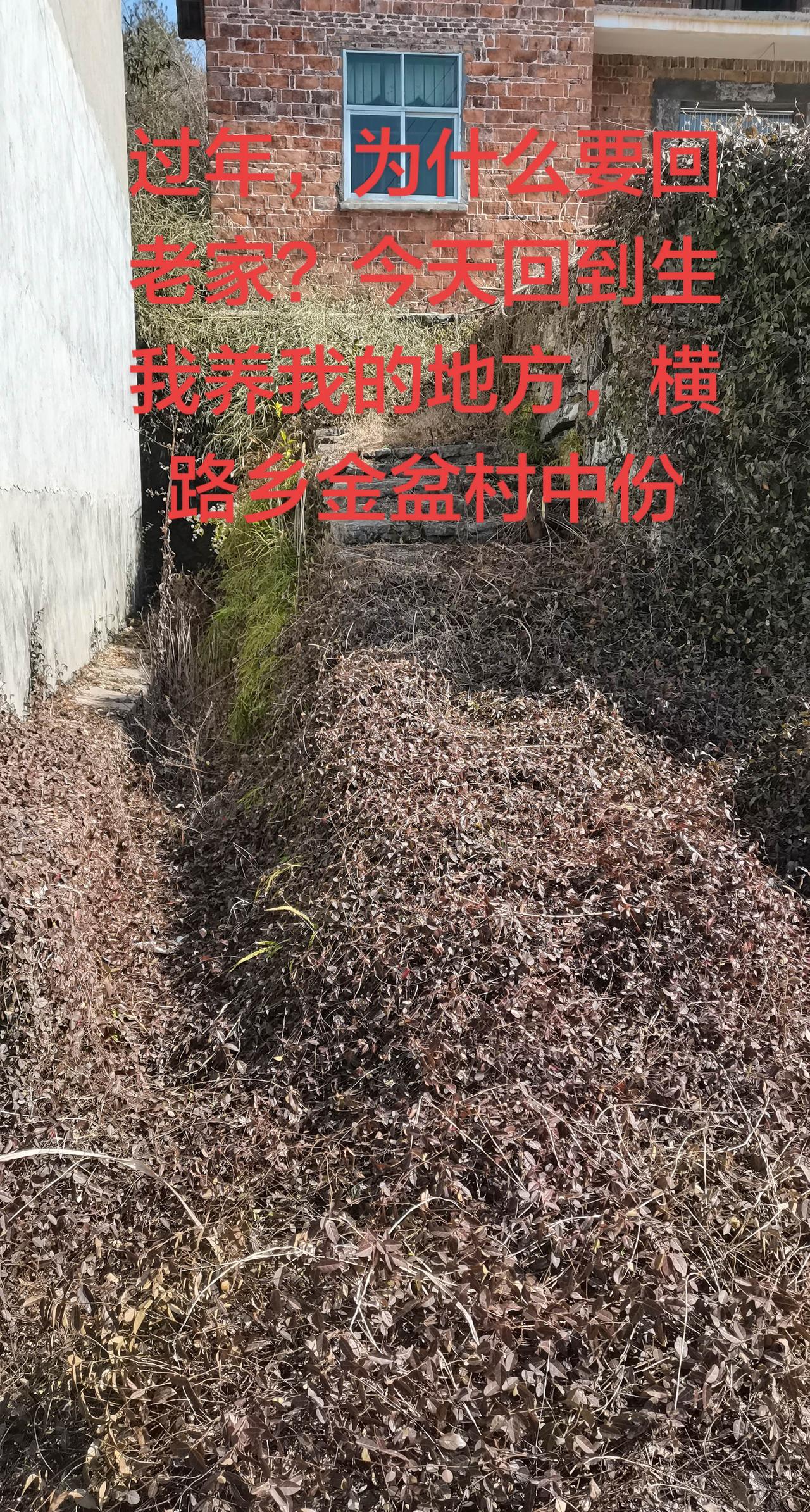 过年为什么要回家，因为我们是来自农村的，我们在农村里，有我们的祖先，有我们的爸爸