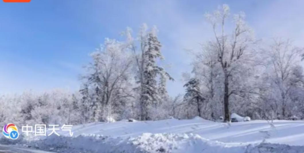 12月2日，一个让北方人集体“沉默”的日子。如果你一早拉开窗帘，感觉世界被按下了