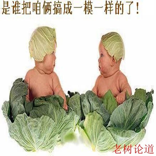 这俩名字取笑的人肚子疼!