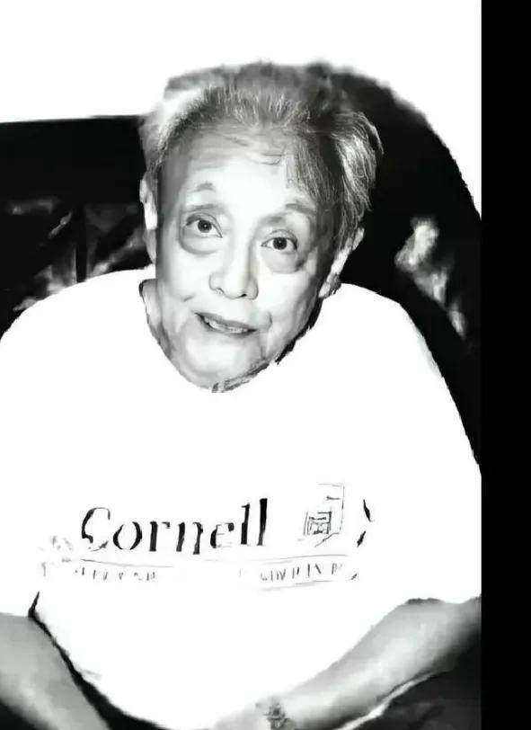 谷正文91岁接受采访时，谈到吴石时，只轻描淡写地说了两句话。他说：“吴石啊，太天