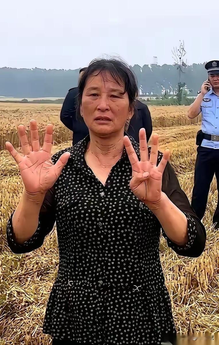 襄阳那场麦收风波，闹到最后，结局比过程更带劲。闹到最后，大妈托侄子，给河南那
