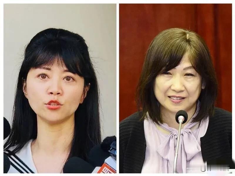 港湖女神失利，为什么？台湾军方成立的欣欣百货改选董事长原本内定的是港湖女神、