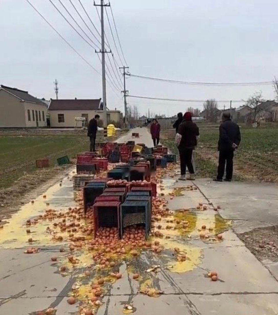 人能闯多大祸，这可咋整？
