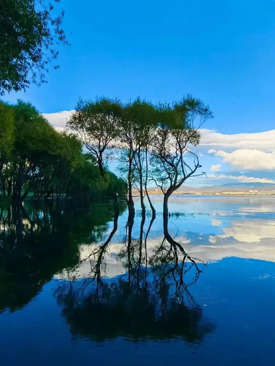 大理洱海