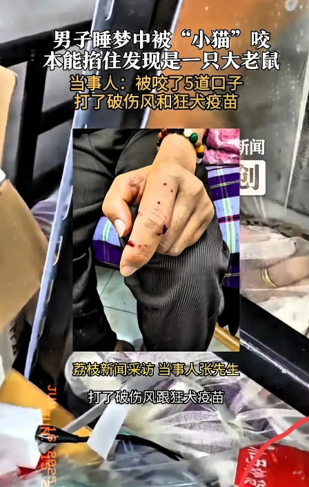 “哎呀妈呀，太后怕了！”江苏无锡这事儿，可把人吓一跳。一男子睡梦中感觉手边毛绒绒