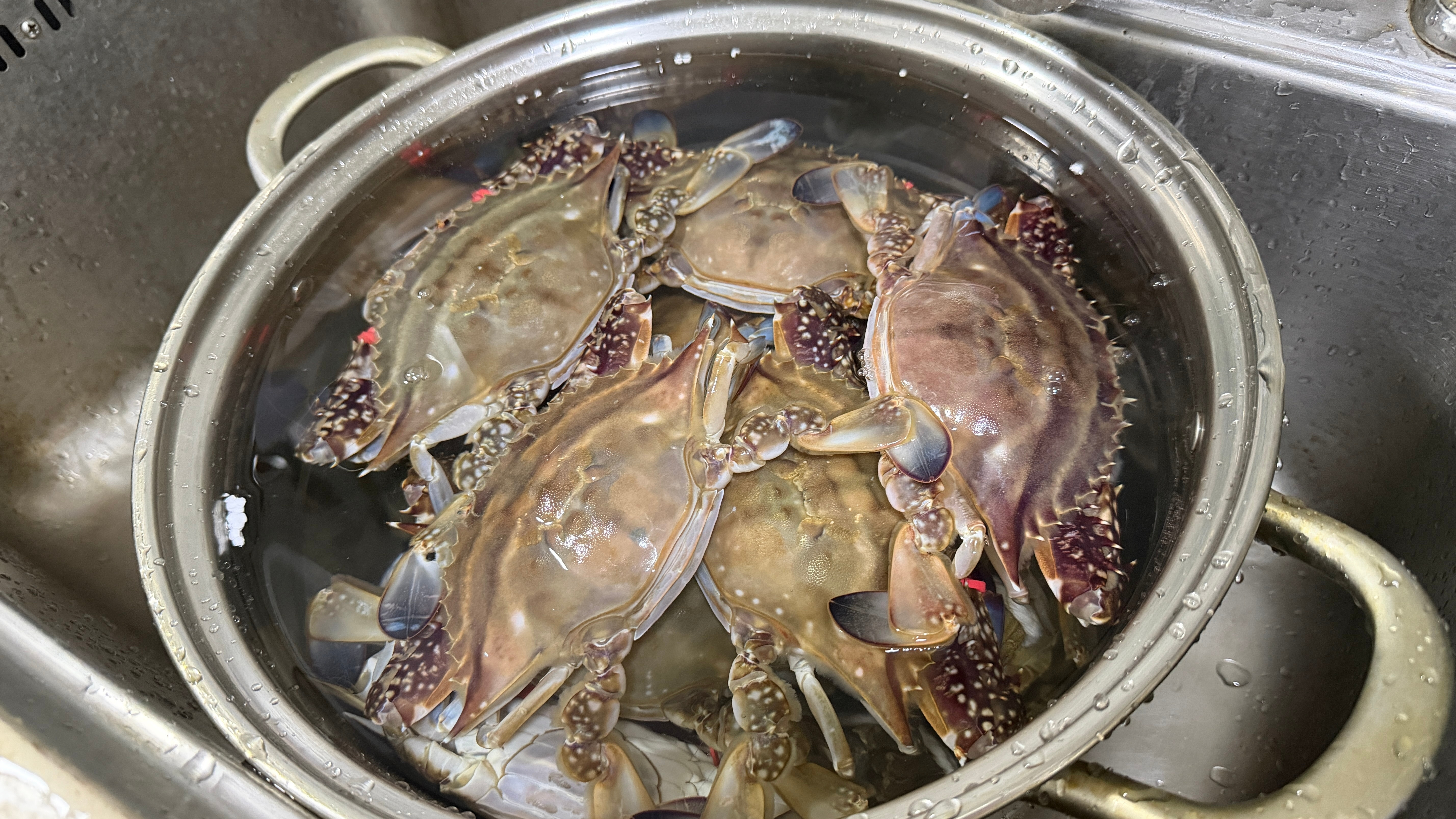 来好朋友家聚会🎈[抱抱][抱抱][抱抱]我太爱这码得整整齐齐的冰箱了～处