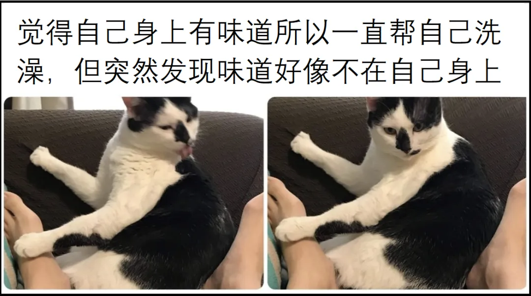 突然发现味道好像不在自己身上