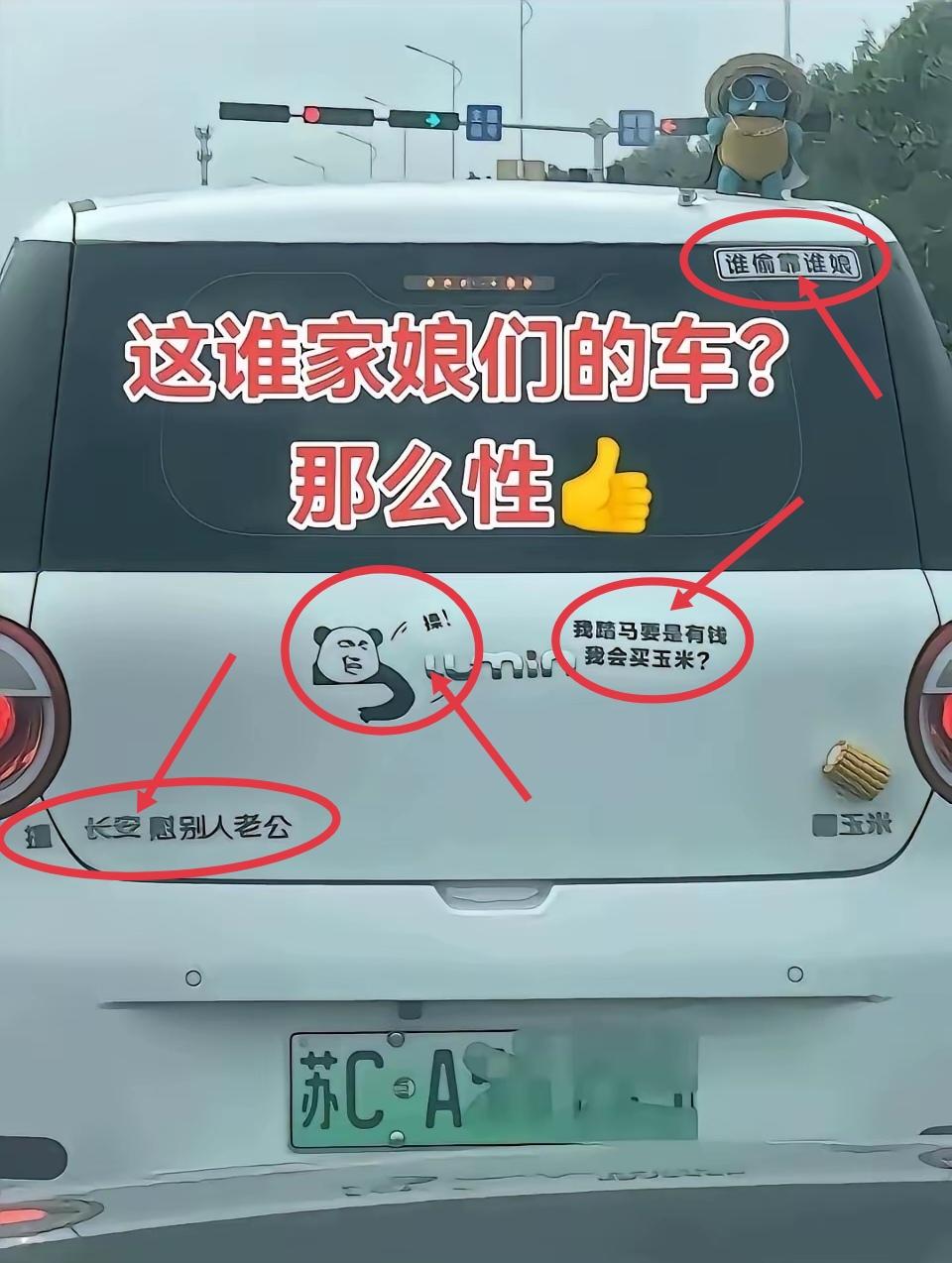 任性的徐州女子徐州女人性格直爽、说话直接、做事干脆。你看看这个苏C车贴