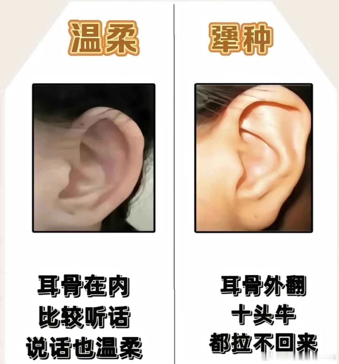 从面相学角度浅浅分析一下郑钦文内心深处的“犟和固执”反骨的相呈现出来的...