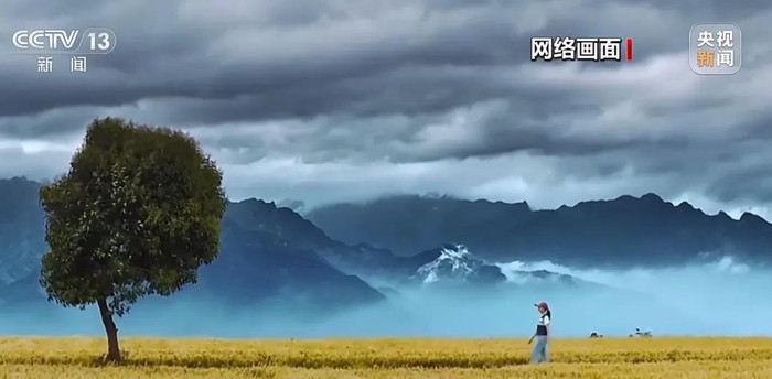 “不打算追究梁亚利的责任”