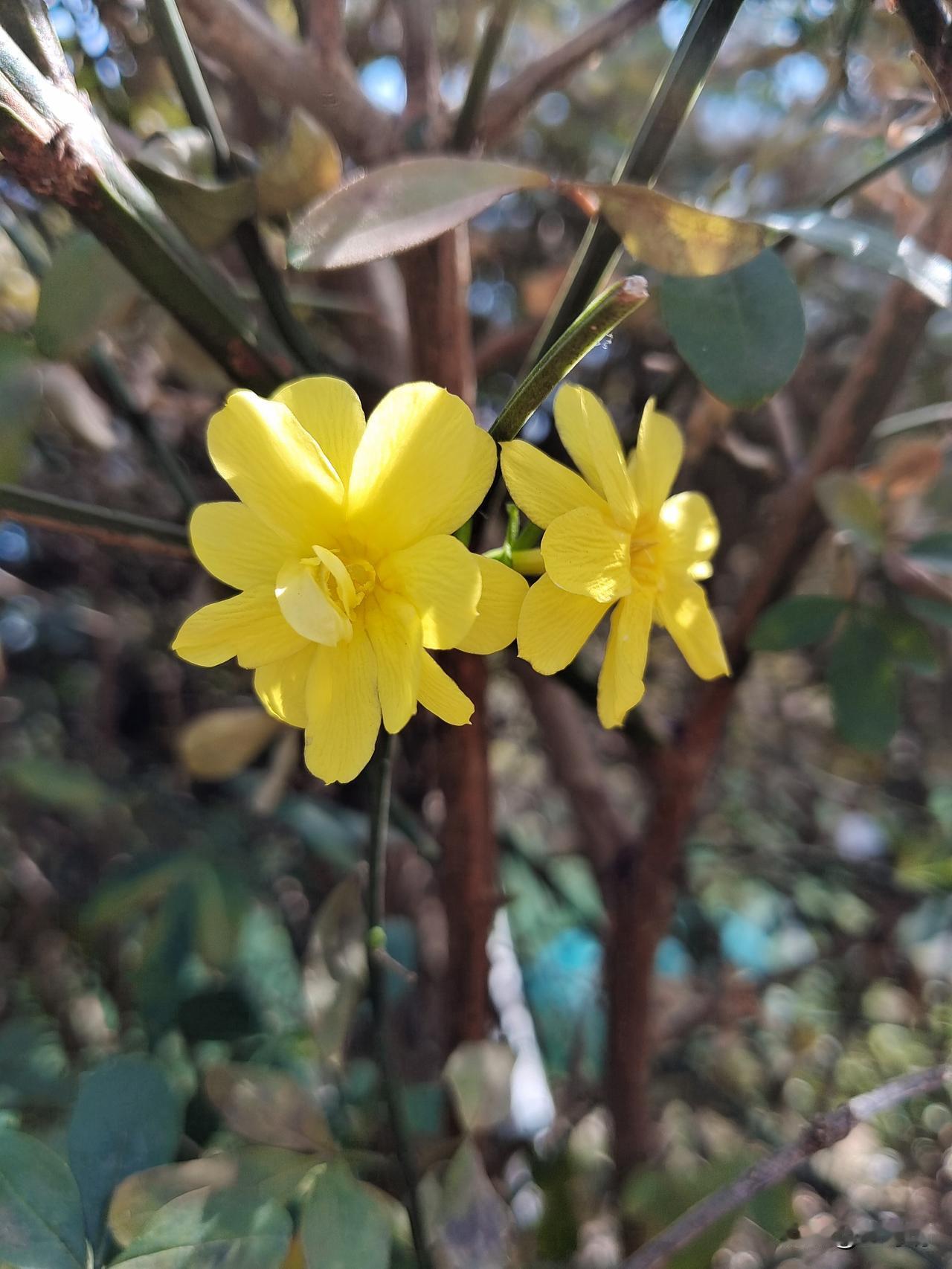 养生就是养心，滋养灵魂一、想身体处于一种舒服服的状态，就不让坏情绪停留在身体长