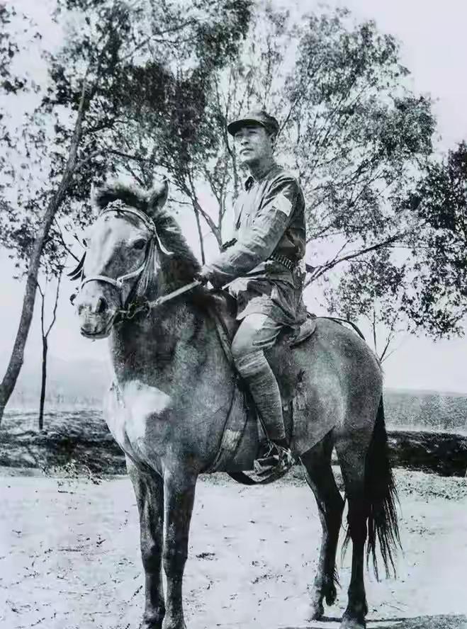 徐春阳回忆彭雪枫师长徐春阳中将回忆录《血火年华》里，关于彭雪枫师长的关键