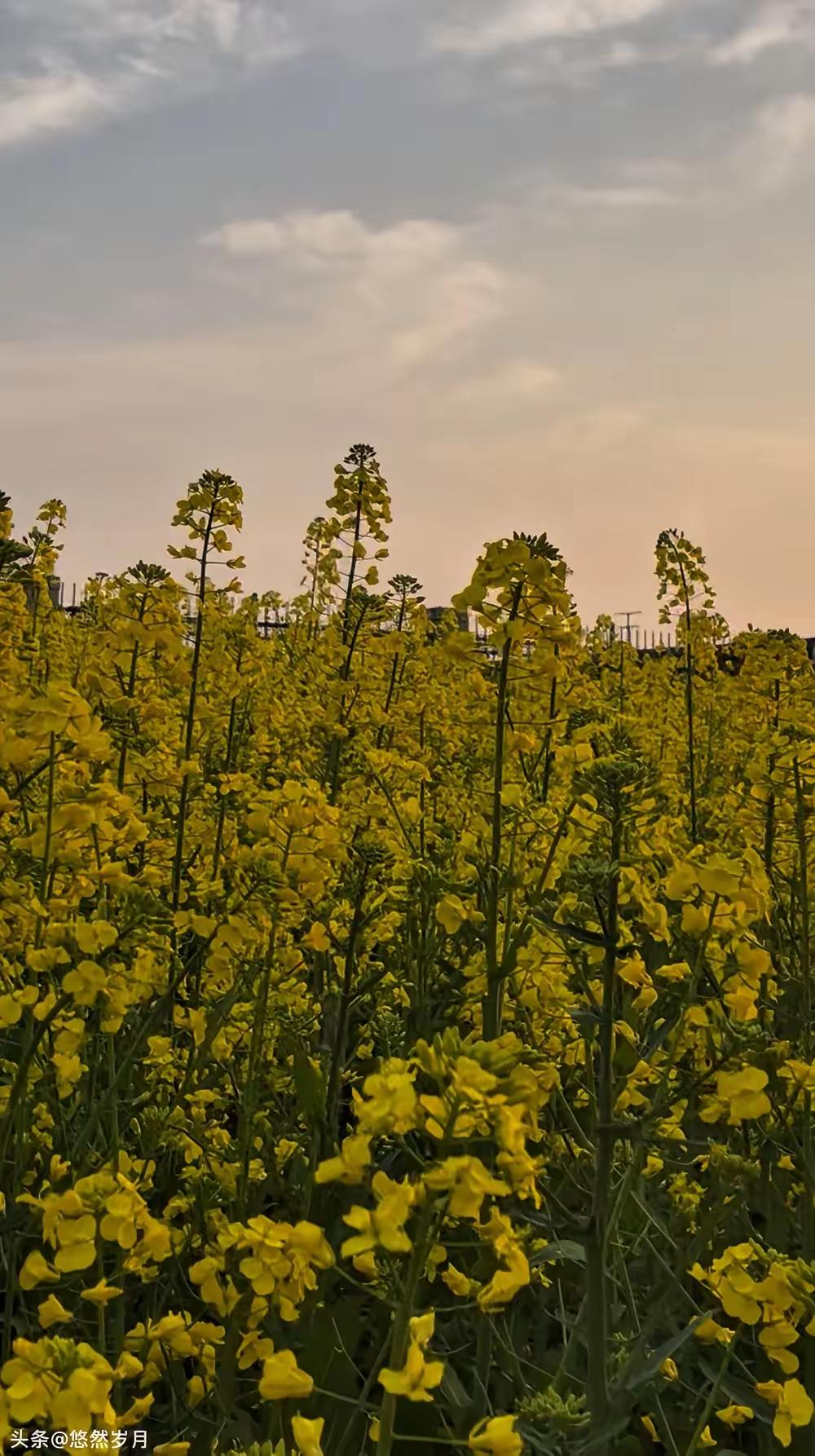 世界上最好的15个免费医生世界上最好的15个免费医生深夜刷到一条朋友圈，刺痛了