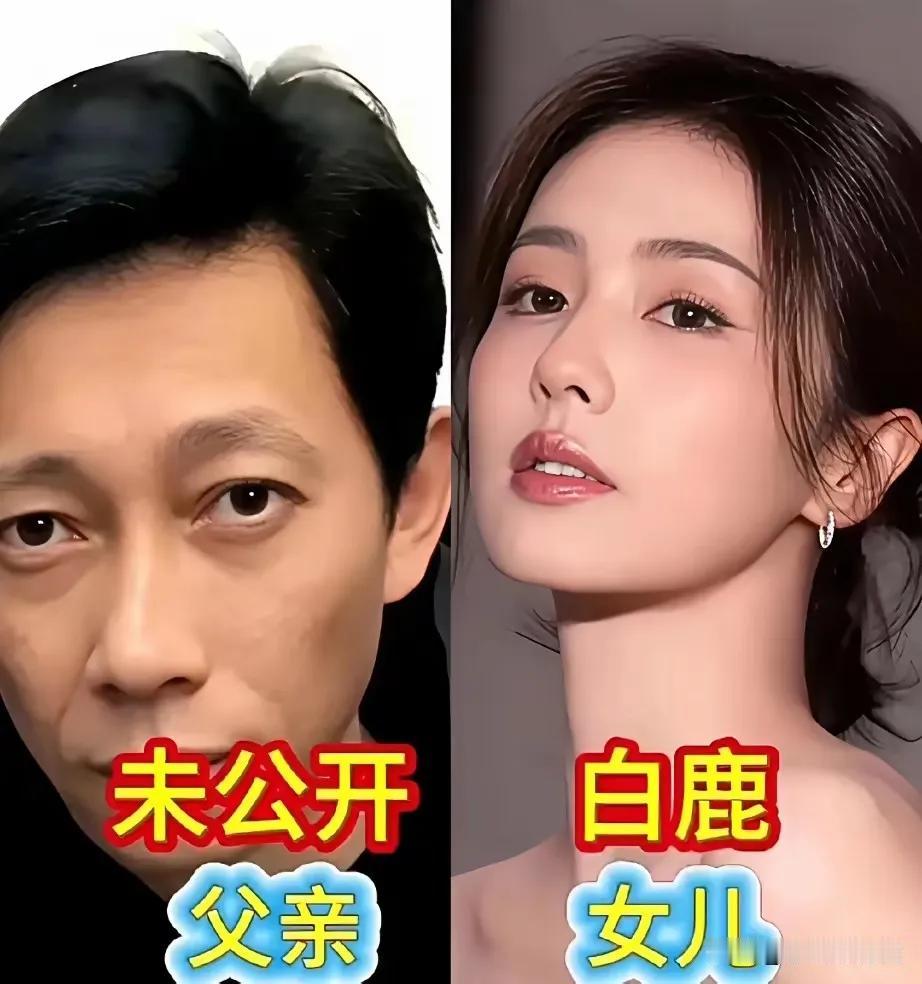 遗传基因强大，爸爸们英俊帅气，女儿们美丽动人。白鹿的父亲年轻时确实拥有一张非常