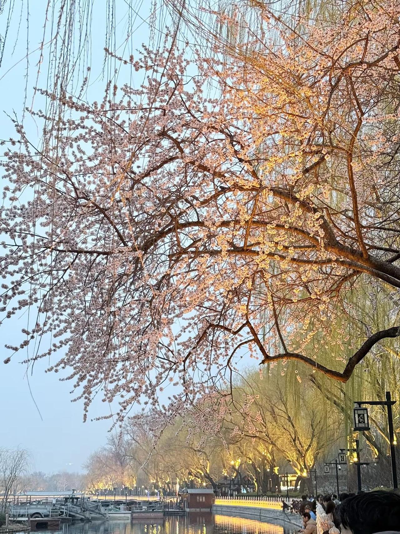江水流去春欲尽，生命说长也很短暂，长到彻夜难眠，短到转瞬即逝，趁着风华正茂.想做