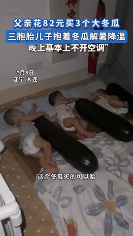 “老祖宗的智慧真管用！”辽宁一奶爸花82元买了3个大冬瓜，岂料这竟然不是用来吃的