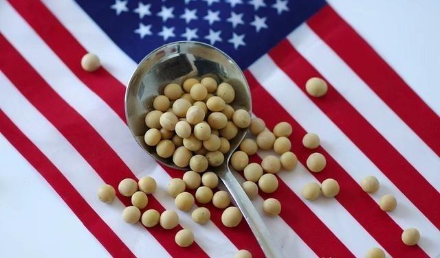 美国大豆为什么非得卖给中国？其实，从美国的角度来看，三年不向中国出口大豆，扩大国