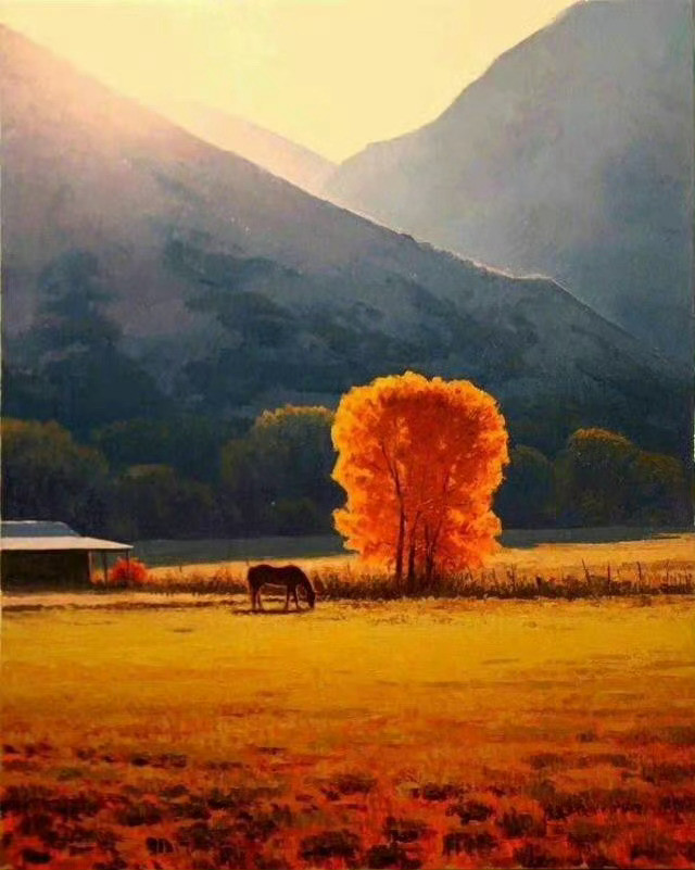 愿望，一定要放在耐心的后面，耐心若总是能走在前面，一个人真的能去很多好好的地方。