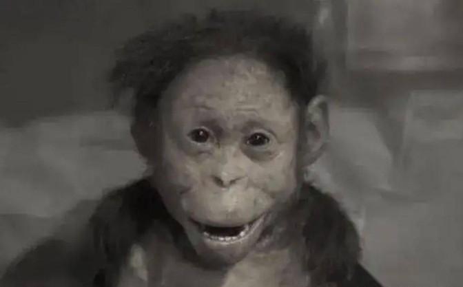 [点赞]1912年，沈阳药店老板王丙兆去闹市看杂耍表演。戏班里的猴子正表演各种