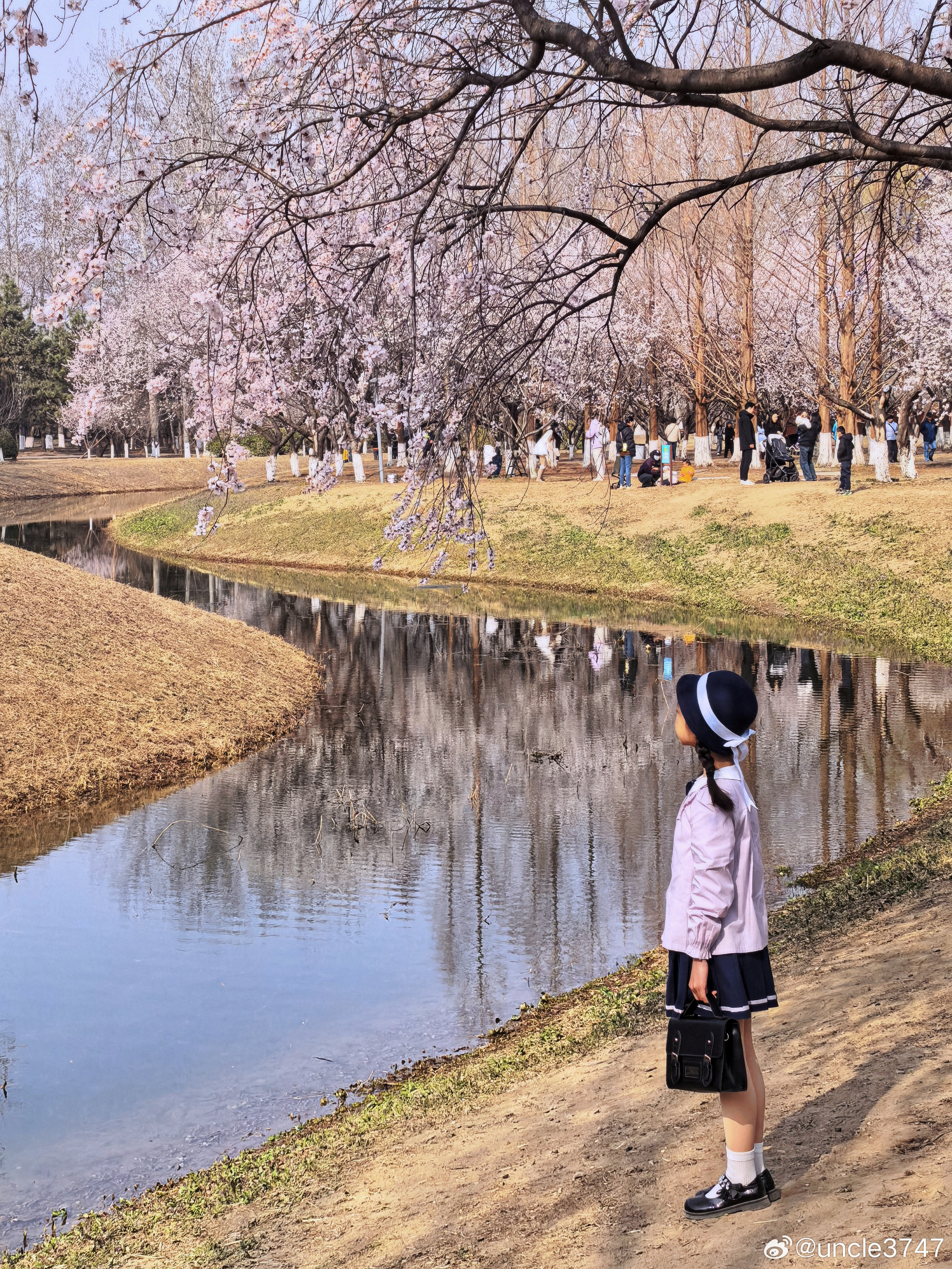 莫问桃源何处是，此间风物即丹丘。周末，奥森北园春意盎然…摄影北京满城春色