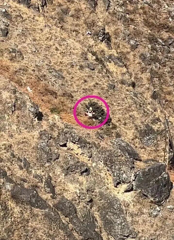 这个孩子的父亲，真的肠子都悔青了！大年初五，带着8岁儿子和老人，从外地来到云南迪