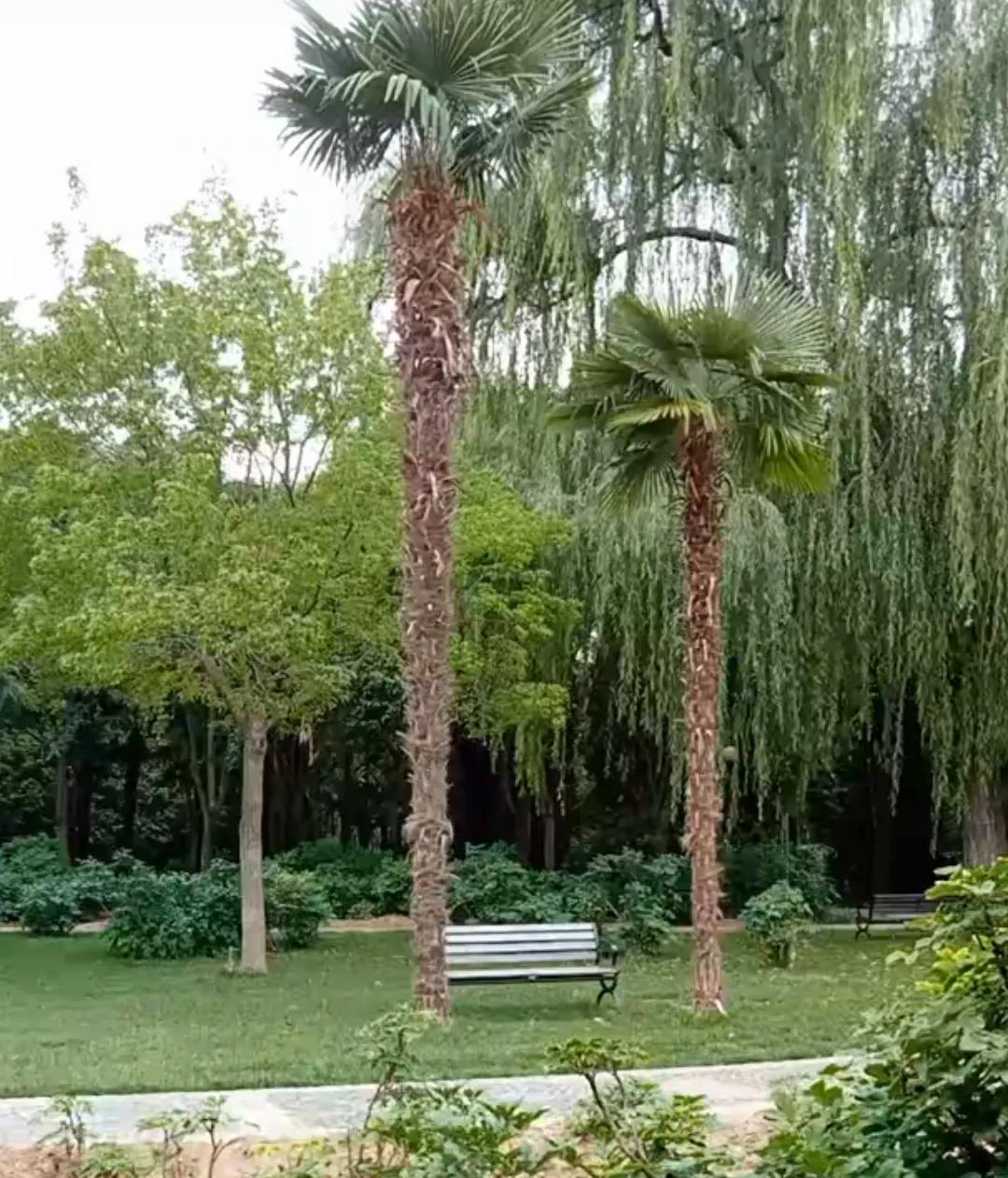 柴桑大姐今天直播说，今天讲的是故事，如有雷同纯属巧合，直播间4600人，会议一结
