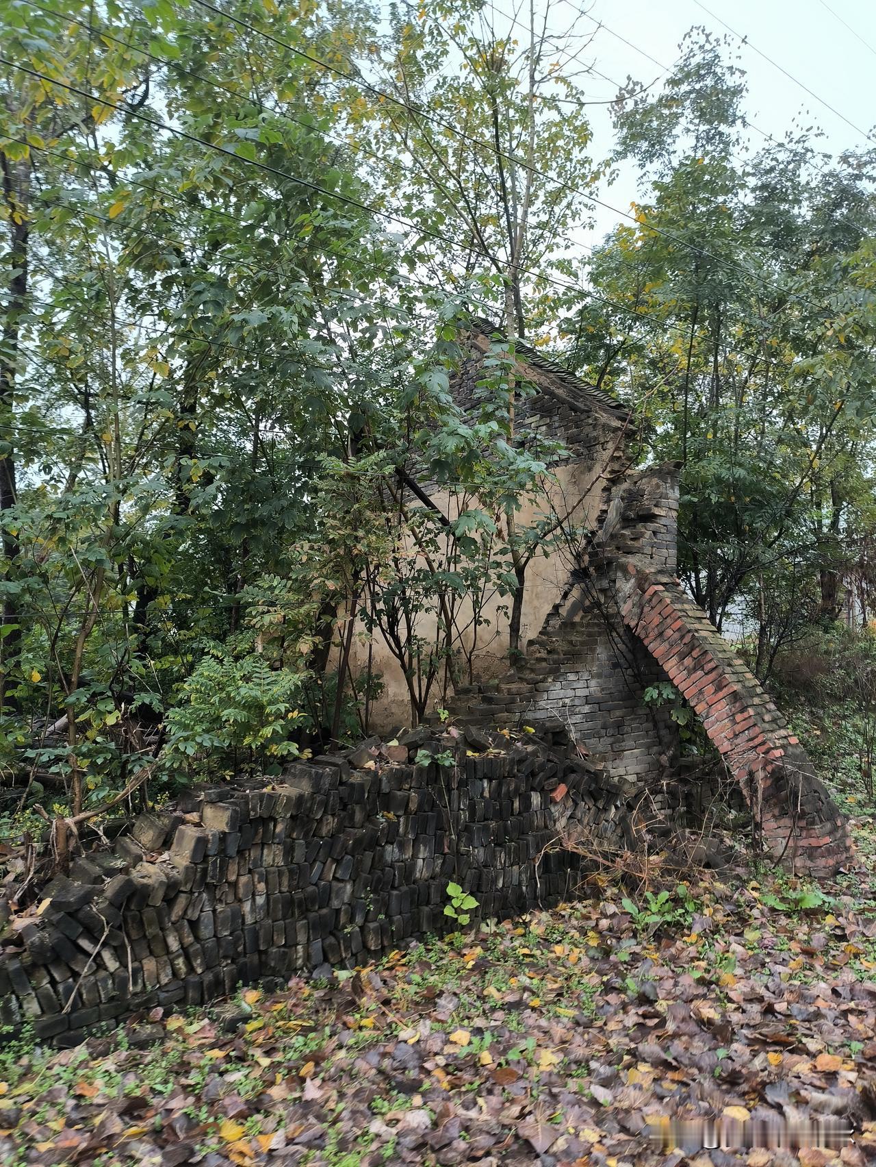 有人认为，世界上唯一公平的东西是时间。但确切地说，世界上唯一公平的东西当属死亡