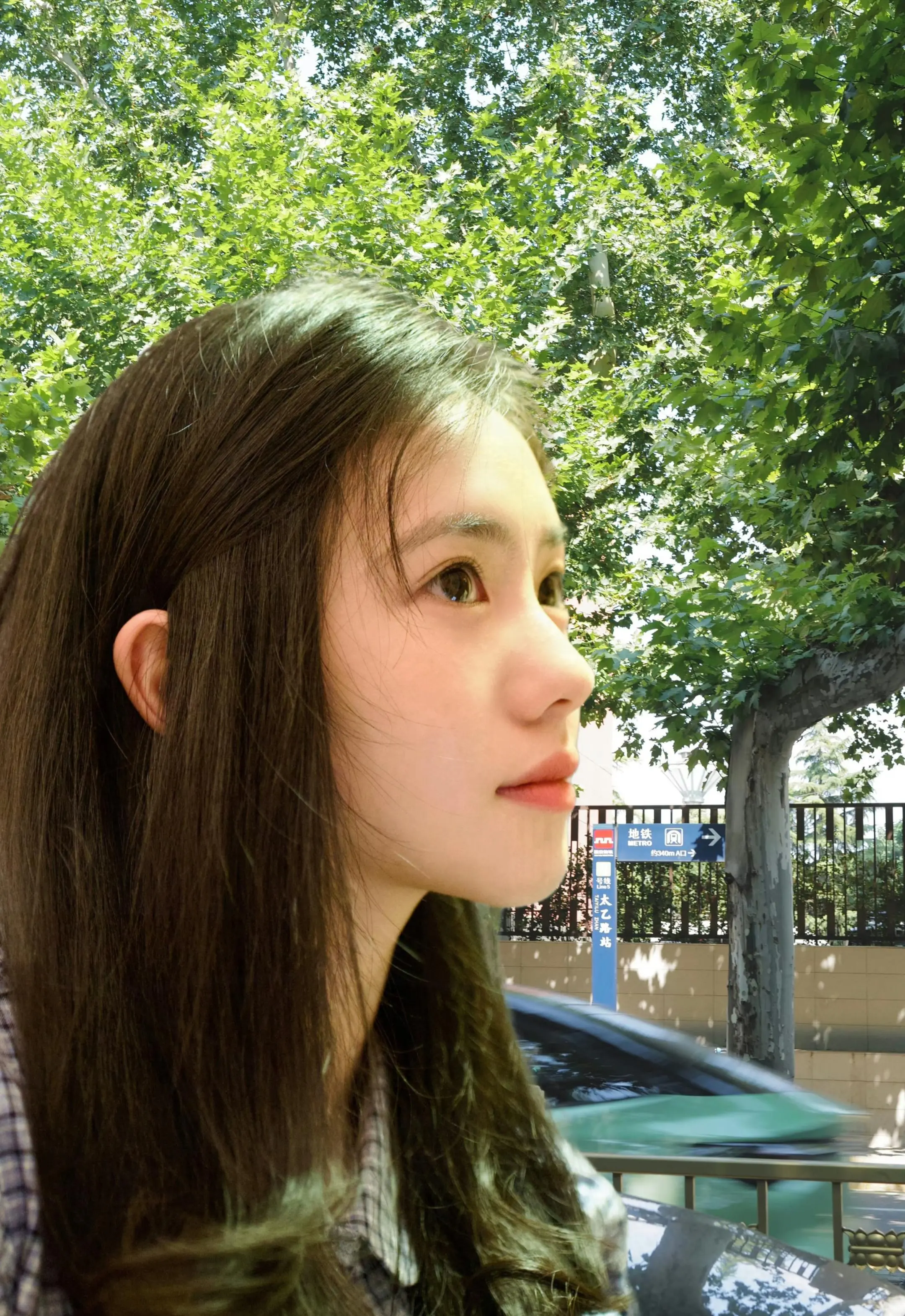 梧桐承载温柔。【图片换背景 然后调整光源 再进行调色】