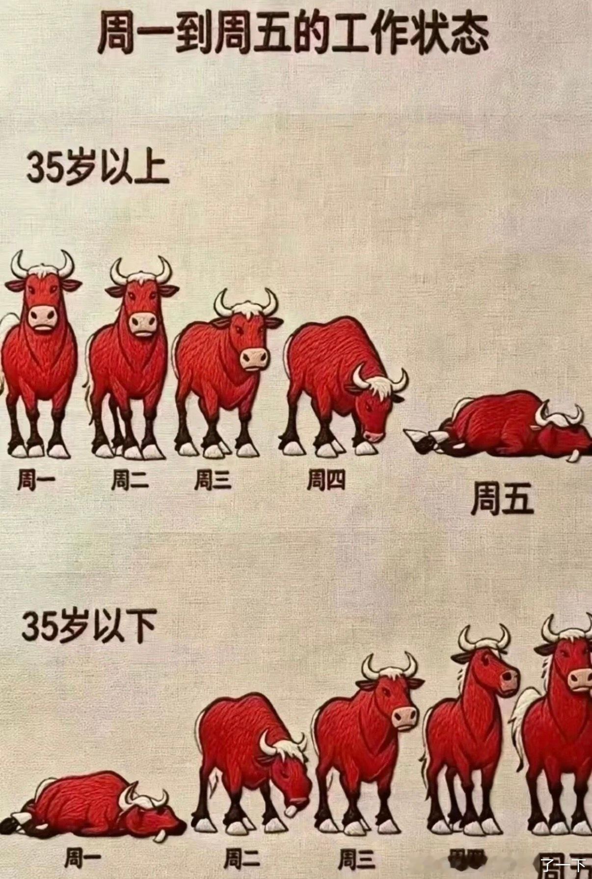 6230周一到周五的工作状态