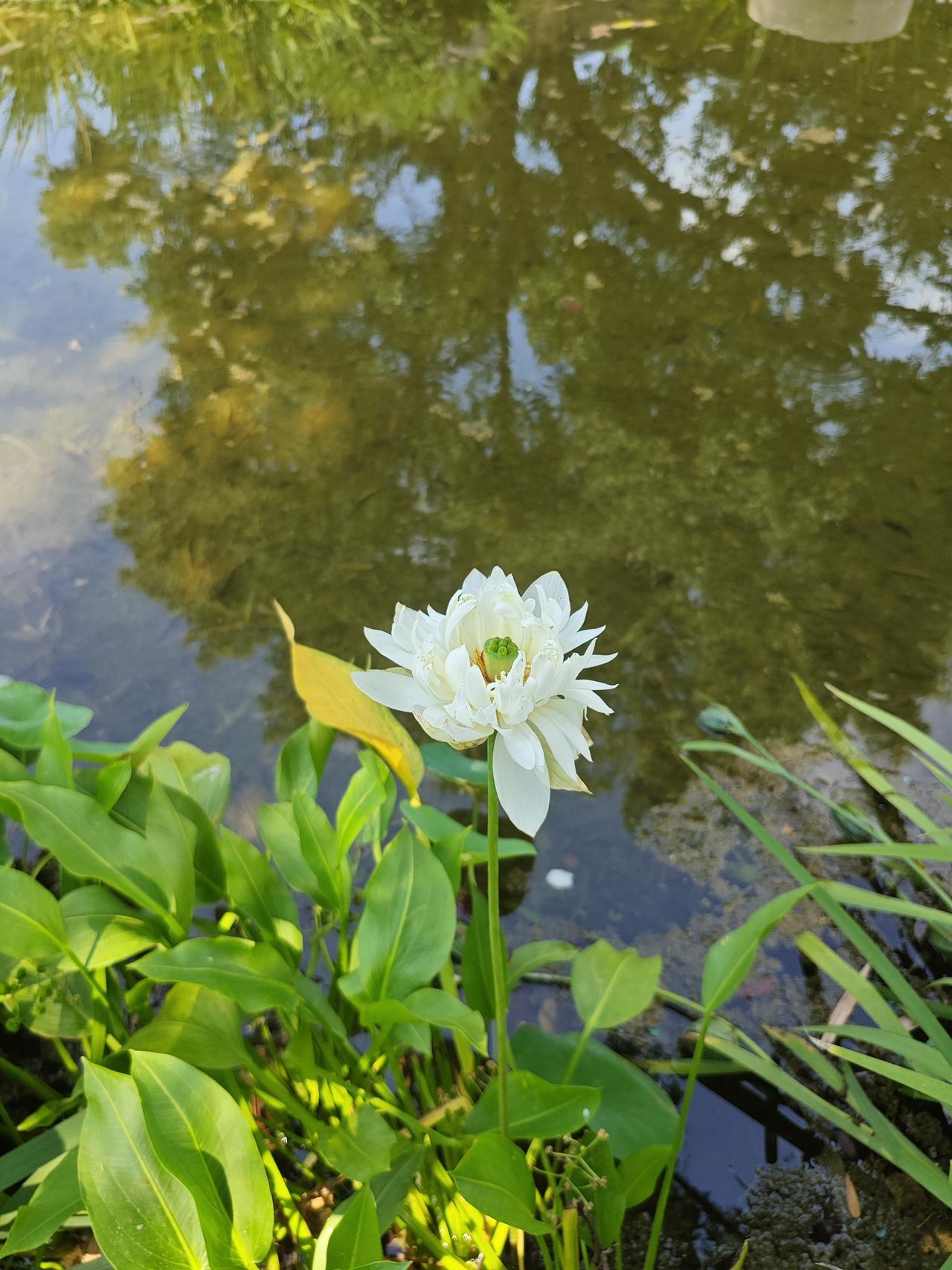 老师：为什么520除以3除不尽学生甲：因为爱情里容不下小三。学生乙：错了错了