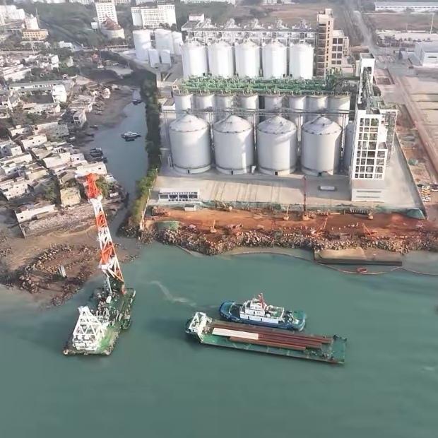 洋浦港再添硬实力：10万吨级公共粮油码头启动钢管桩试桩，将具备5万吨级以上粮油船