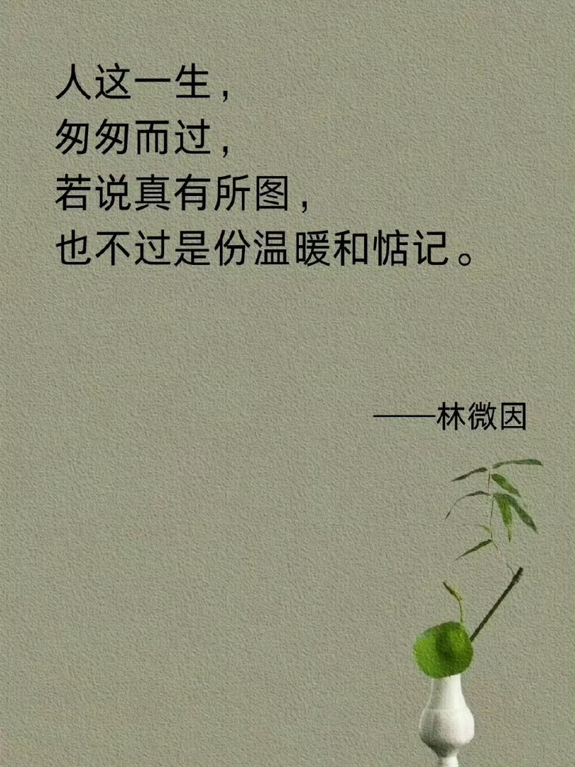 林徽因顶级温暖名言，温柔且清醒