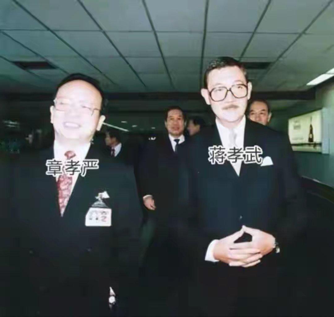 1990年，蒋孝武准备赴日，同父异母的哥哥蒋孝严亲自到到机场送别