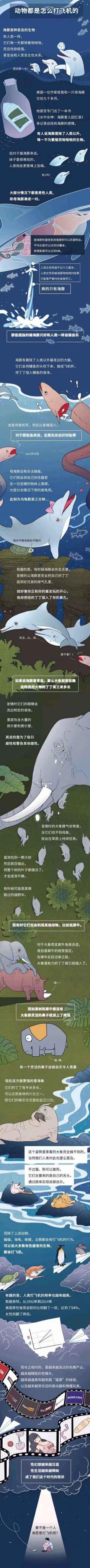动物都是怎么打飞机的​​​