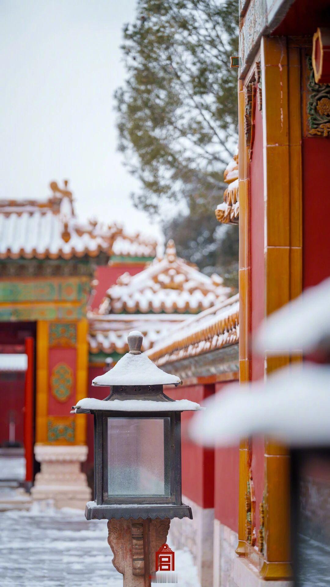 央视出品，必是精品。故宫最新雪景图，来了！北京2026年的第一场雪如约而至一夜之